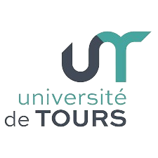 2006 - 2007 : Licence ManInfo - Université de Tours